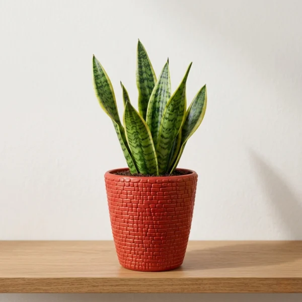 19 Marble Pots (2)