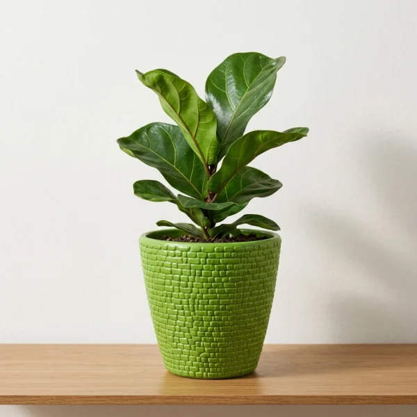 19 Marble Pots (3)