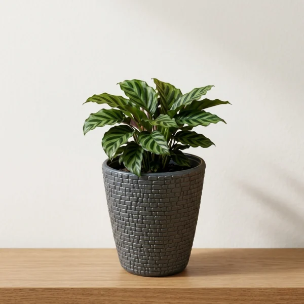 19 Marble Pots (4)
