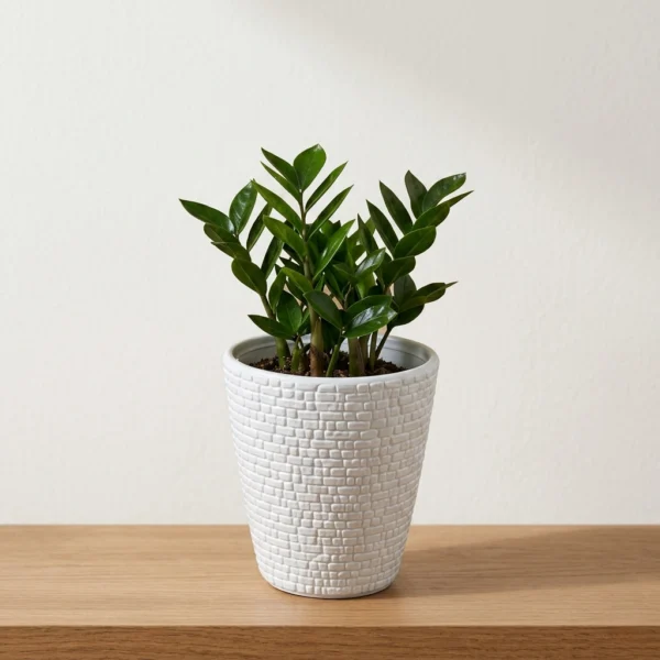 19 Marble Pots (6)