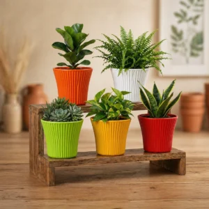Sunshine Plastic Planter Pot